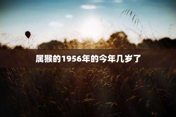 属猴的1956年的今年几岁了