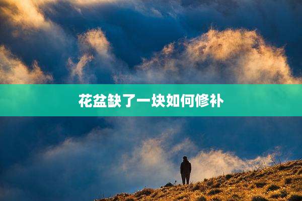 花盆缺了一块如何修补