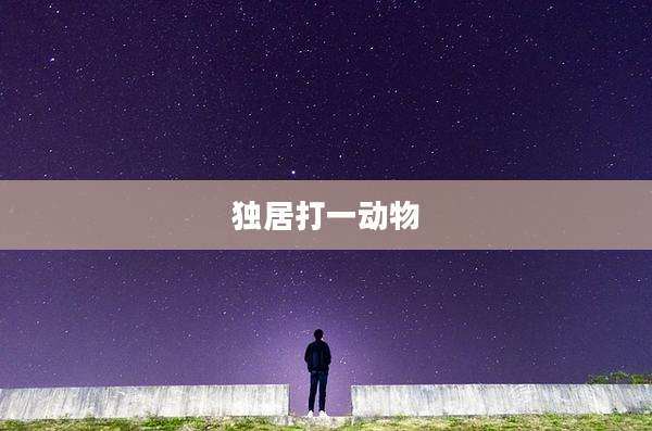 独居打一动物