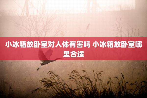 小冰箱放卧室对人体有害吗 小冰箱放卧室哪里合适