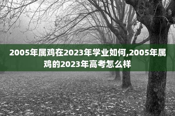 2005年属鸡在2023年学业如何,2005年属鸡的2023年高考怎么样