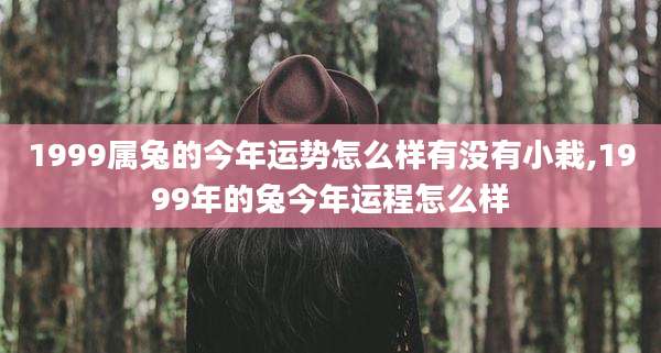 1999属兔的今年运势怎么样有没有小栽,1999年的兔今年运程怎么样