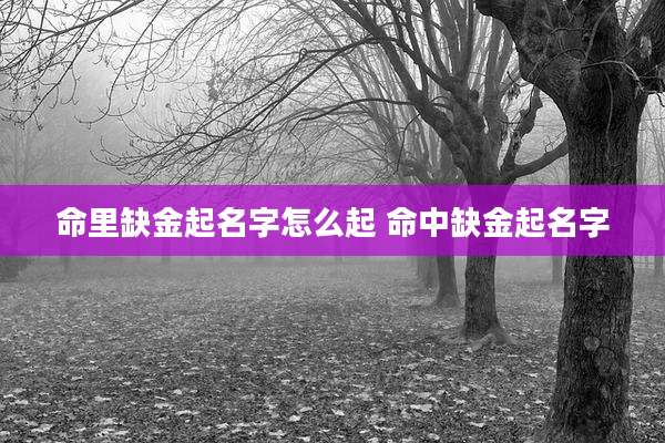命里缺金起名字怎么起 命中缺金起名字