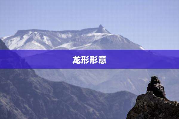 龙形形意
