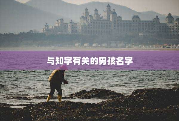 与知字有关的男孩名字