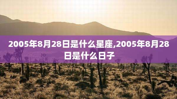 2005年8月28日是什么星座,2005年8月28日是什么日子
