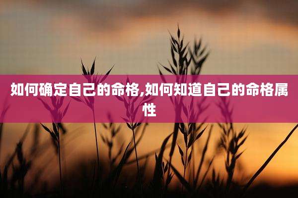 如何确定自己的命格,如何知道自己的命格属性