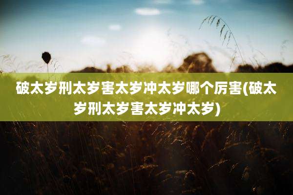 破太岁刑太岁害太岁冲太岁哪个厉害(破太岁刑太岁害太岁冲太岁)