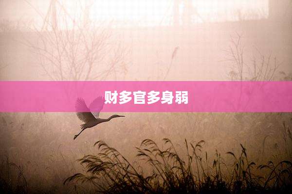 财多官多身弱