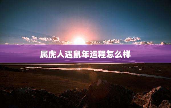 属虎人遇鼠年运程怎么样