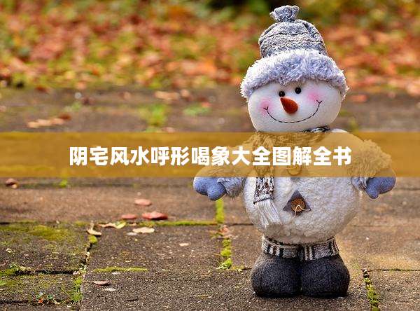 阴宅风水呼形喝象大全图解全书