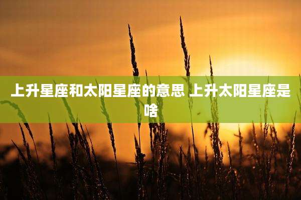 上升星座和太阳星座的意思 上升太阳星座是啥