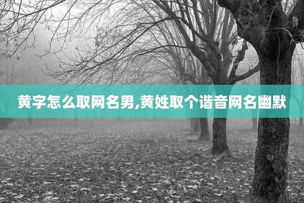 黄字怎么取网名男,黄姓取个谐音网名幽默