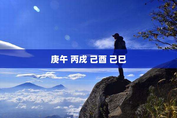 庚午 丙戌 己酉 己巳