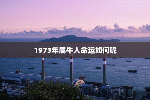 1973年属牛人命运如何呢