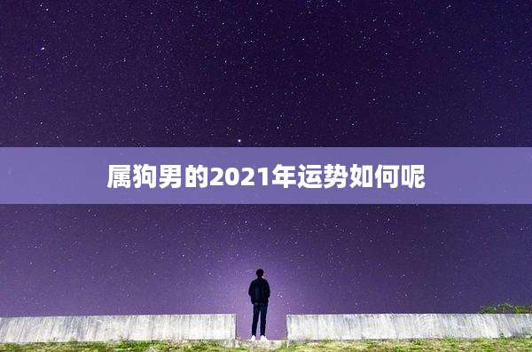 属狗男的2021年运势如何呢