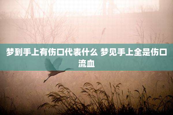 梦到手上有伤口代表什么 梦见手上全是伤口流血