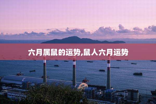 六月属鼠的运势,鼠人六月运势