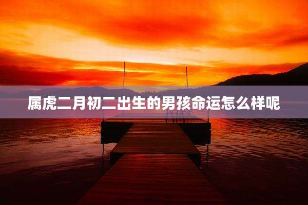 属虎二月初二出生的男孩命运怎么样呢