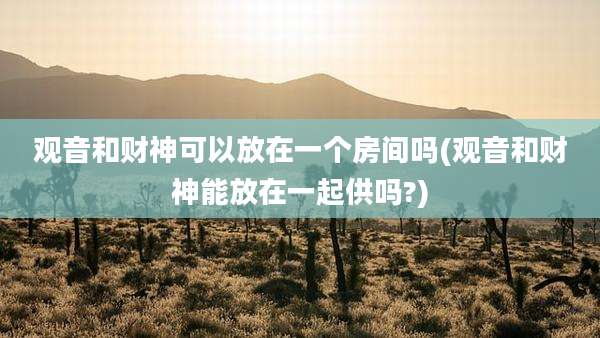 观音和财神可以放在一个房间吗(观音和财神能放在一起供吗?)
