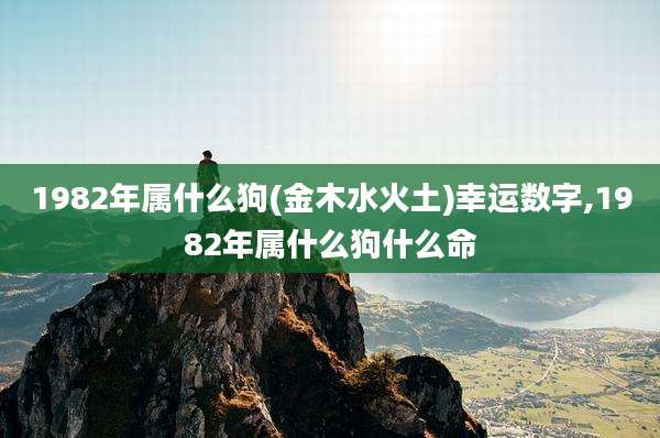 1982年属什么狗(金木水火土)幸运数字,1982年属什么狗什么命