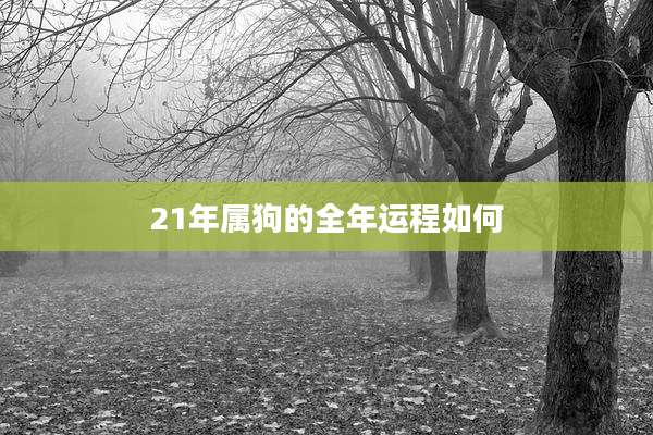 21年属狗的全年运程如何