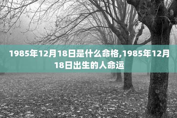 1985年12月18日是什么命格,1985年12月18日出生的人命运