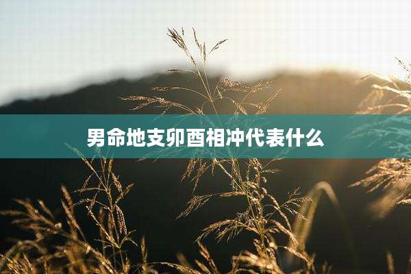 男命地支卯酉相冲代表什么