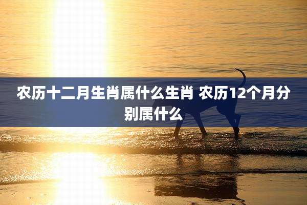 农历十二月生肖属什么生肖 农历12个月分别属什么