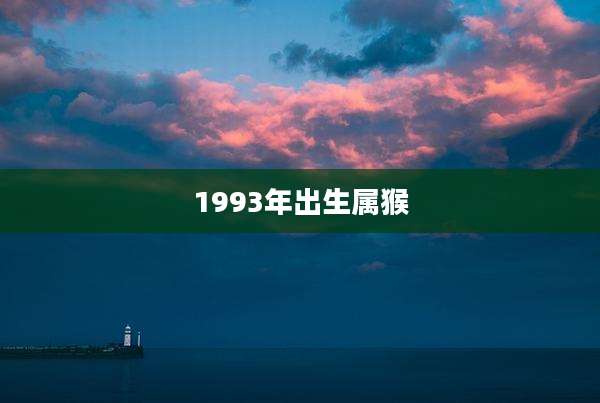 1993年出生属猴