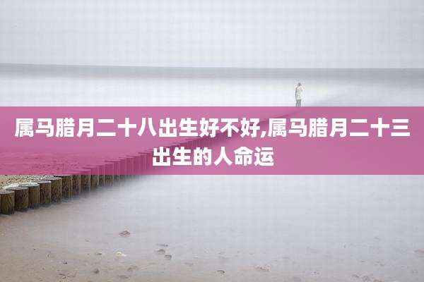 属马腊月二十八出生好不好,属马腊月二十三出生的人命运
