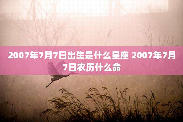 2007年7月7日出生是什么星座 2007年7月7日农历什么命