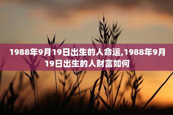 1988年9月19日出生的人命运,1988年9月19日出生的人财富如何