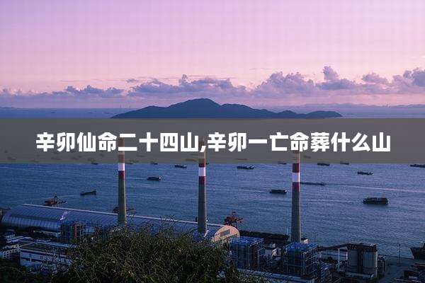 辛卯仙命二十四山,辛卯一亡命葬什么山
