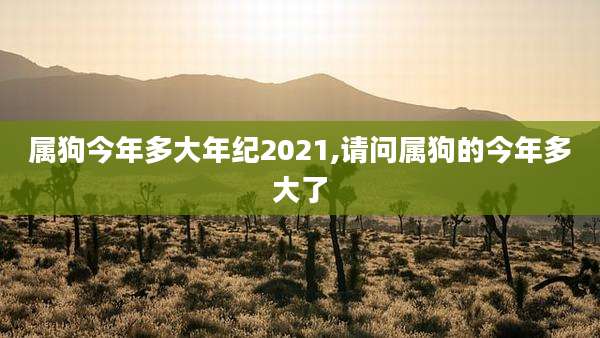 属狗今年多大年纪2021,请问属狗的今年多大了
