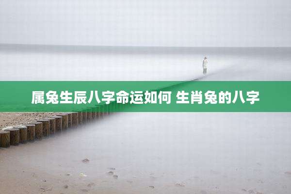 属兔生辰八字命运如何 生肖兔的八字