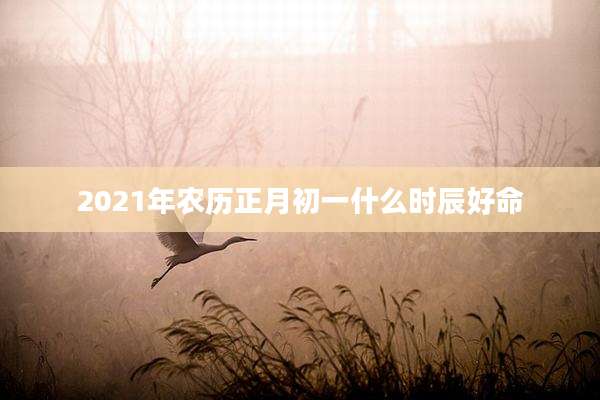 2021年农历正月初一什么时辰好命