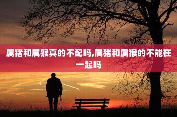 属猪和属猴真的不配吗,属猪和属猴的不能在一起吗