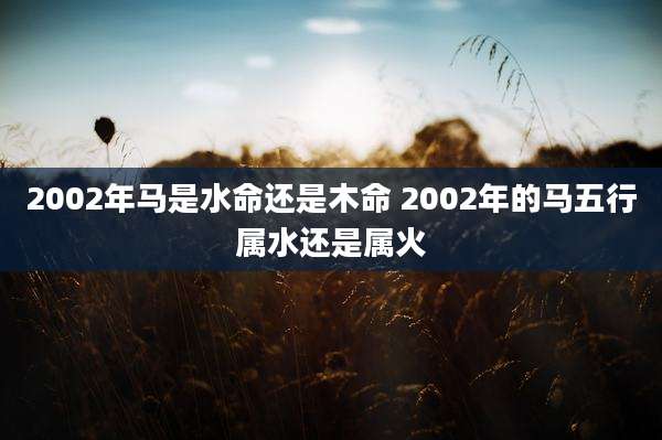 2002年马是水命还是木命 2002年的马五行属水还是属火
