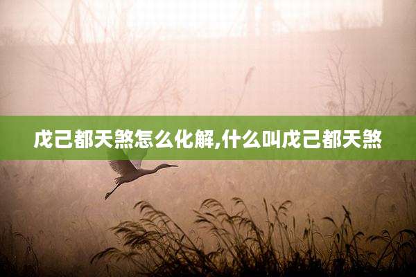 戊己都天煞怎么化解,什么叫戊己都天煞