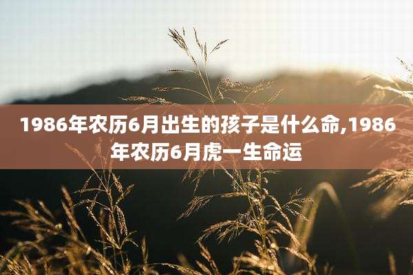 1986年农历6月出生的孩子是什么命,1986年农历6月虎一生命运