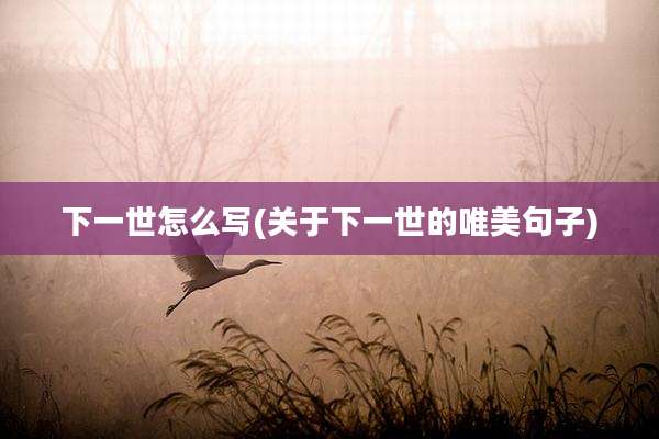 下一世怎么写(关于下一世的唯美句子)