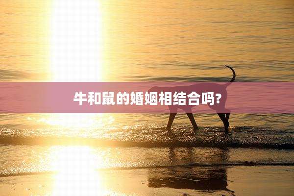 牛和鼠的婚姻相结合吗?