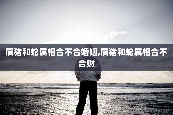 属猪和蛇属相合不合婚姻,属猪和蛇属相合不合财