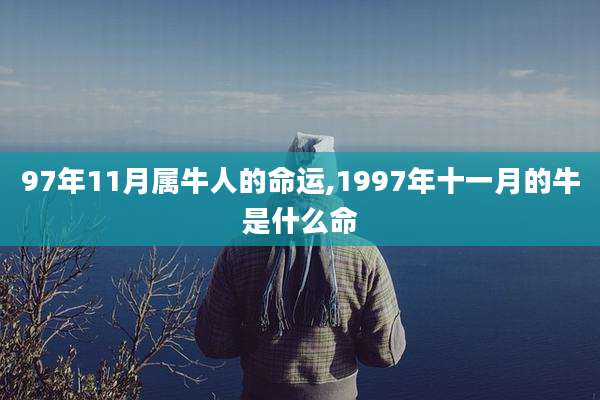 97年11月属牛人的命运,1997年十一月的牛是什么命