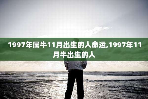 1997年属牛11月出生的人命运,1997年11月牛出生的人