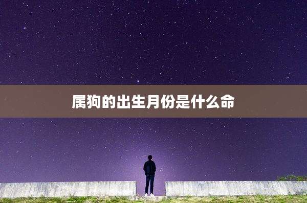 属狗的出生月份是什么命