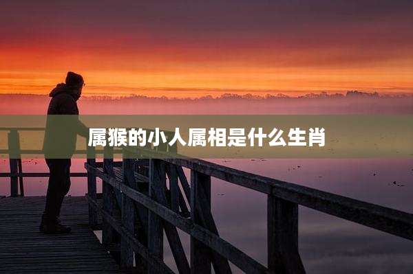 属猴的小人属相是什么生肖
