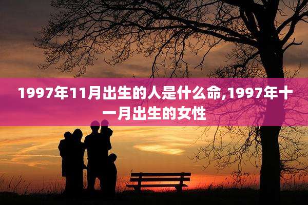 1997年11月出生的人是什么命,1997年十一月出生的女性