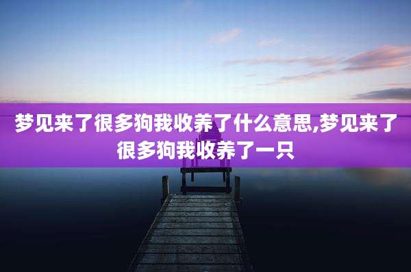 梦见来了很多狗我收养了什么意思,梦见来了很多狗我收养了一只